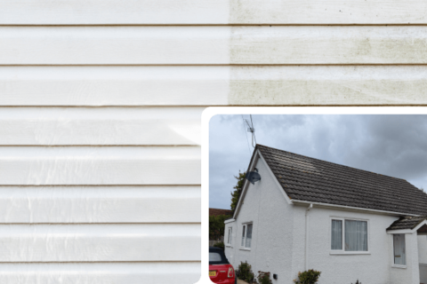 Professional Painting & Rendering Experts
